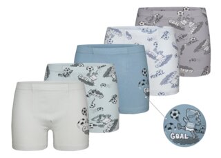 Боксери для хлопчика (0-9 років) Донелла